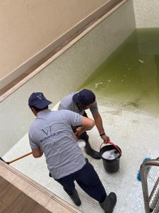 WhatsApp Image 2026-01-28 at 4.37.43 PM (3)