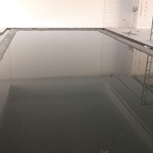 WhatsApp Image 2026-01-20 at 1.26.00 AM (1)