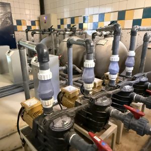 WhatsApp Image 2026-01-20 at 12.48.55 AM (14)