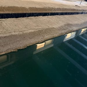 WhatsApp Image 2026-01-20 at 12.48.55 AM (8)