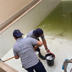 WhatsApp Image 2026-01-28 at 4.37.43 PM (3)