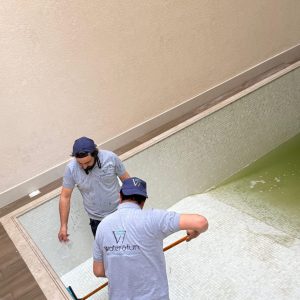 WhatsApp Image 2026-01-28 at 4.37.44 PM